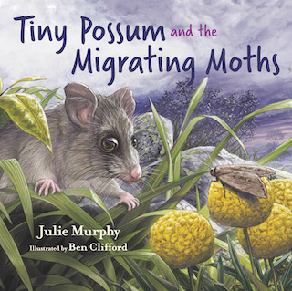 Tiny Possum & the Migrating Moths